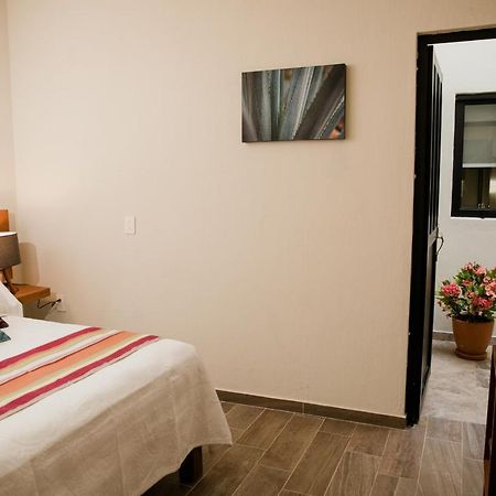 Casa Volcan X Santiago De テキーラ エクステリア 写真